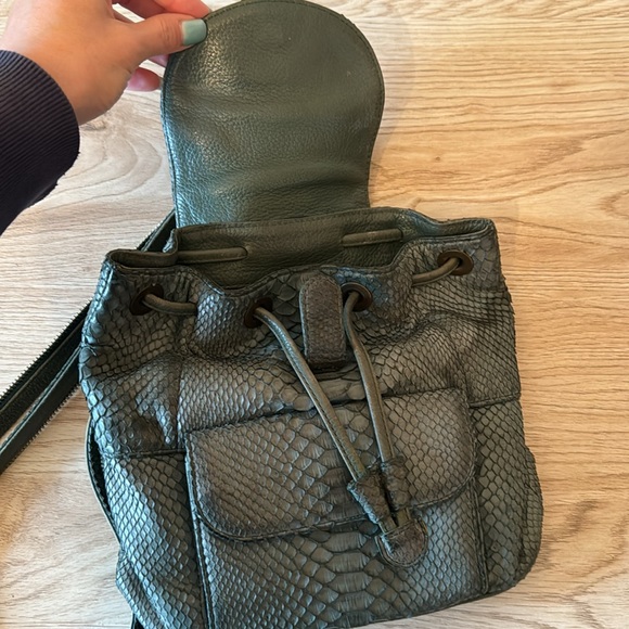 Real python snake 100% almost new - Picture 2 of 10